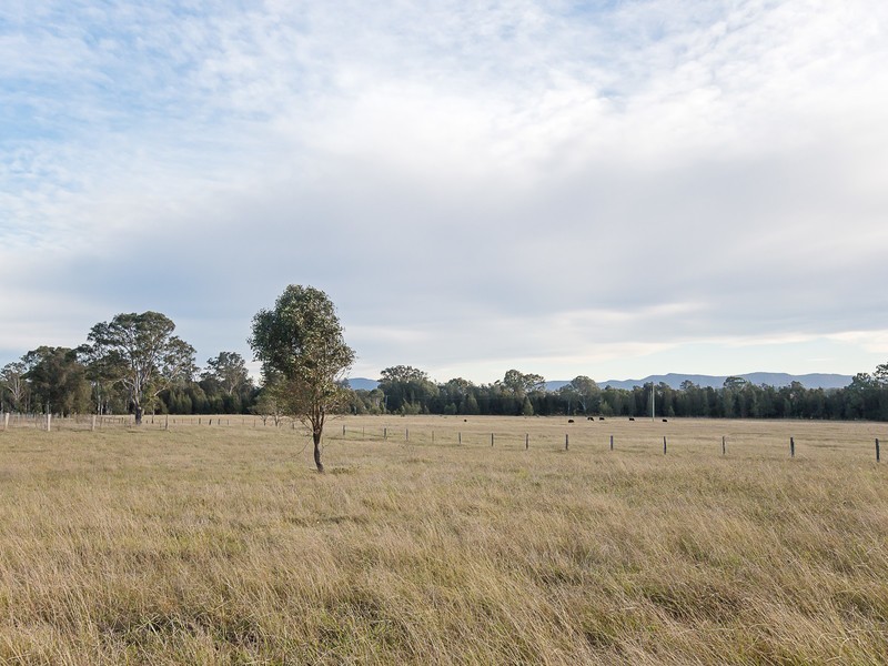 475 Lovedale Road, Lovedale NSW 2325