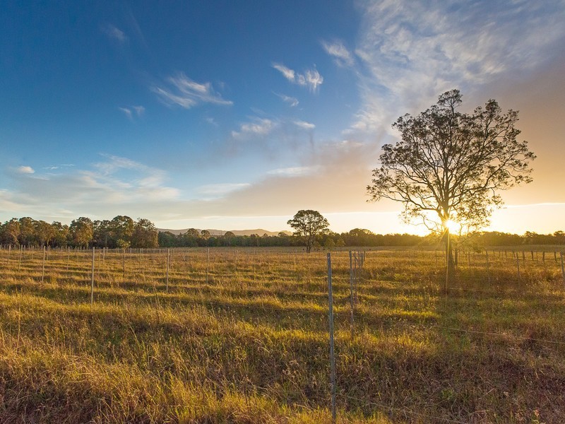 475 Lovedale Road, Lovedale NSW 2325