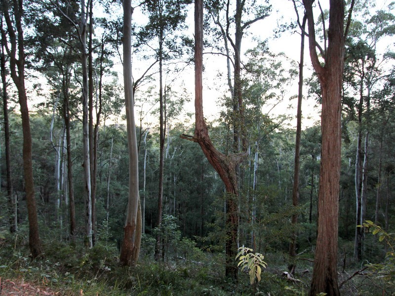 Lot 129, 138 & 143,  via Pokolbin Mountains Road, Pokolbin NSW 2320