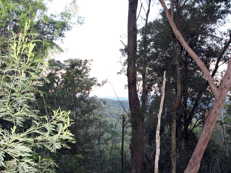 Lot 129, 138 & 143,  via Pokolbin Mountains Road, Pokolbin NSW 2320