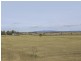 Lot 1 DP 81332 New England Highway, Whittingham NSW 2330