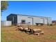 Lot 1 DP 81332 New England Highway, Whittingham NSW 2330