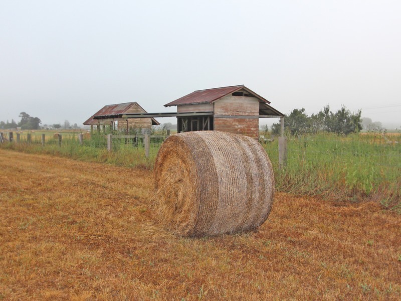 Lot 1 DP 81332 New England Highway, Whittingham NSW 2330