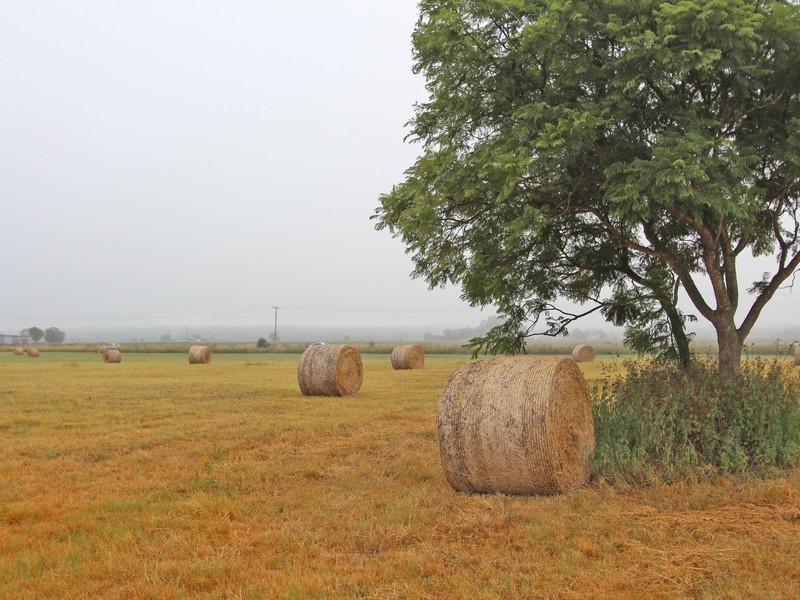 Lot 1 DP 81332 New England Highway, Whittingham NSW 2330