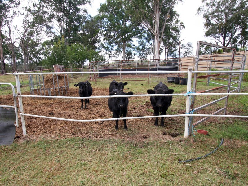 346 Congewai Road, Congewai NSW 2325