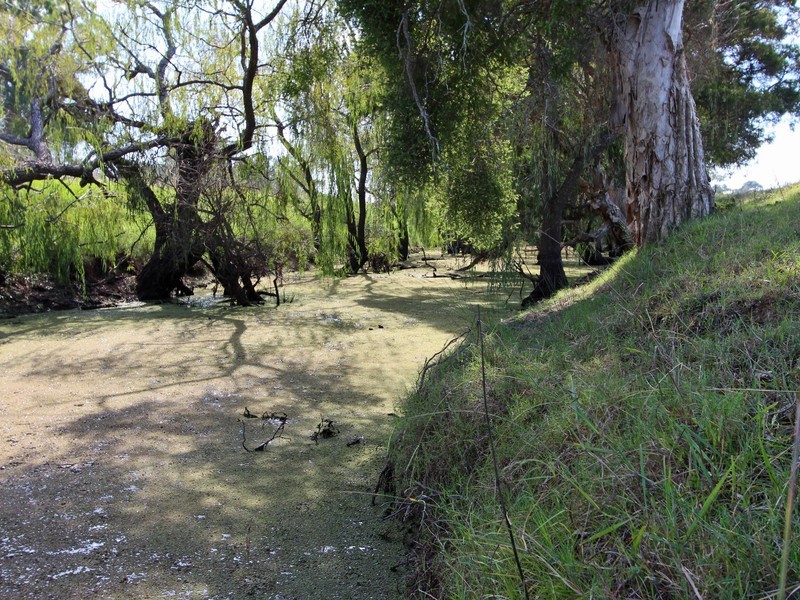 346 Congewai Road, Congewai NSW 2325