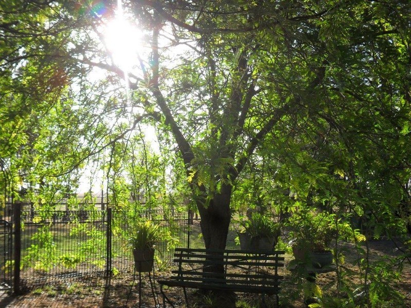 4183 New England Highway, Singleton NSW 2330