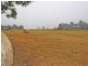 Lot 1 DP 81332 New England Highway, Singleton NSW 2330