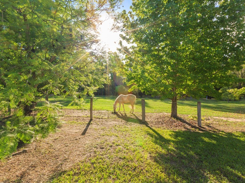 71 Howells Road, Elrington NSW 2325