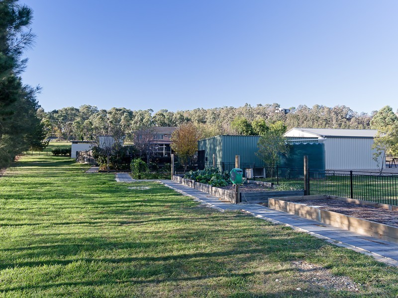 453 Talga Road, Lovedale NSW 2325