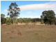224 Retreat Road, Singleton NSW 2330
