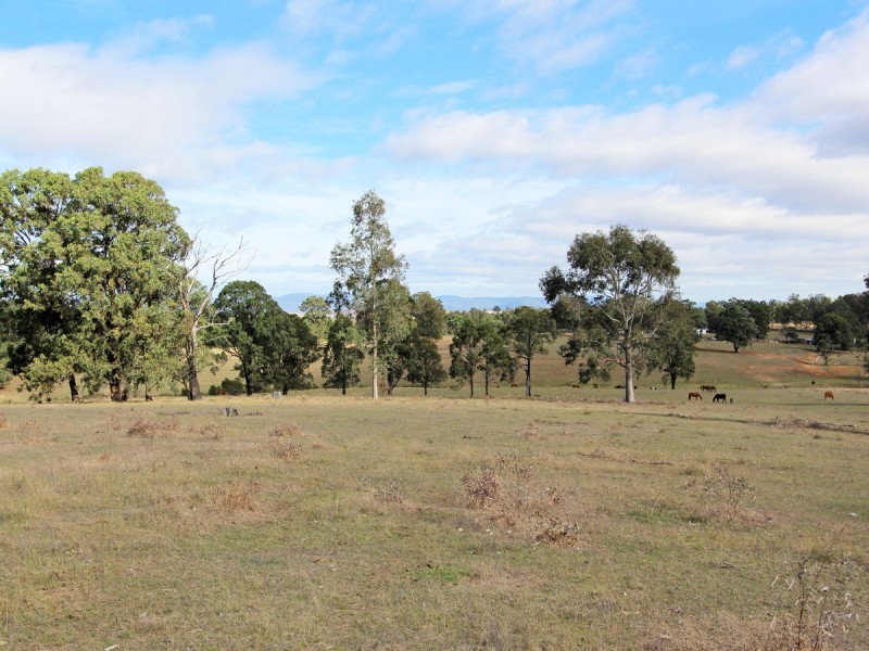 224 Retreat Road, Singleton NSW 2330