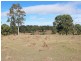 224 Retreat Road, Singleton NSW 2330