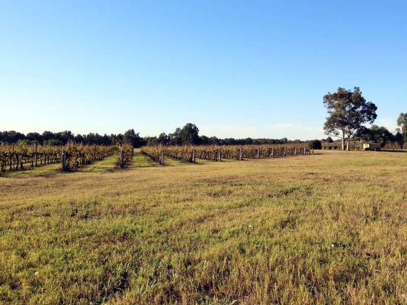 40 Rodd Street, Broke NSW 2330