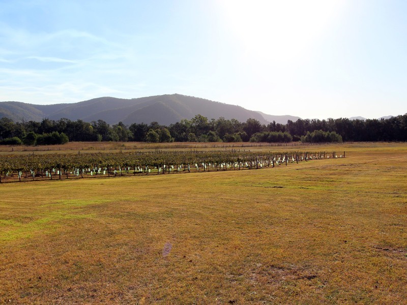 40 Rodd Street, Broke NSW 2330