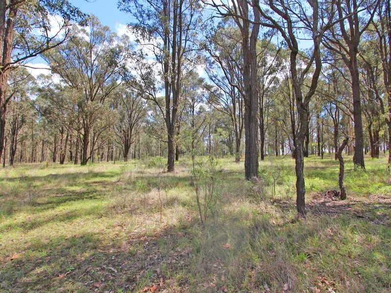 148 Allandale Road, Allandale NSW 2320