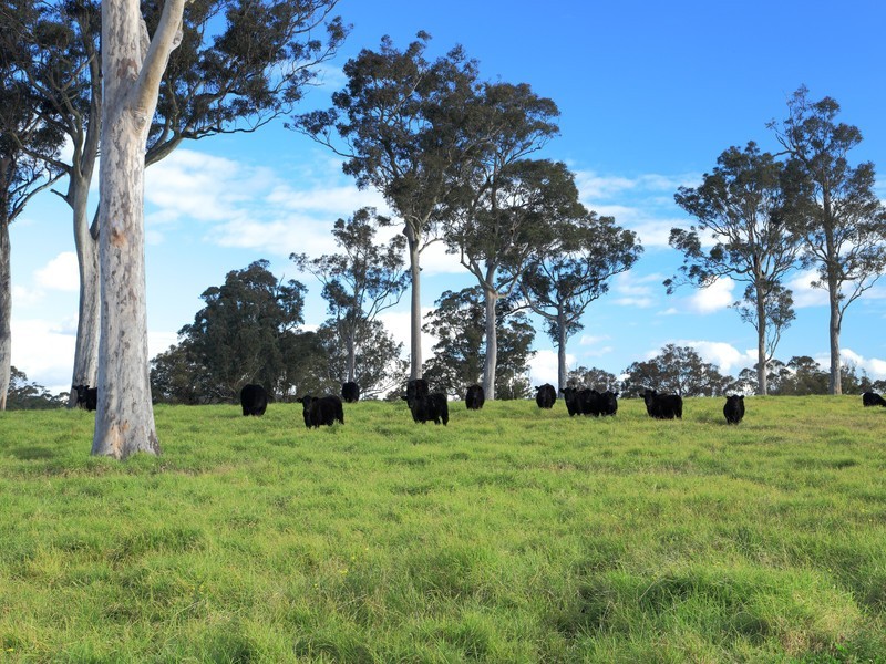Lot 3,  Fotheringay Road, Clarence Town NSW 2321
