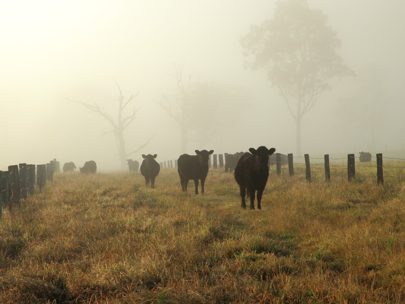 Lot 3,  Fotheringay Road, Clarence Town NSW 2321