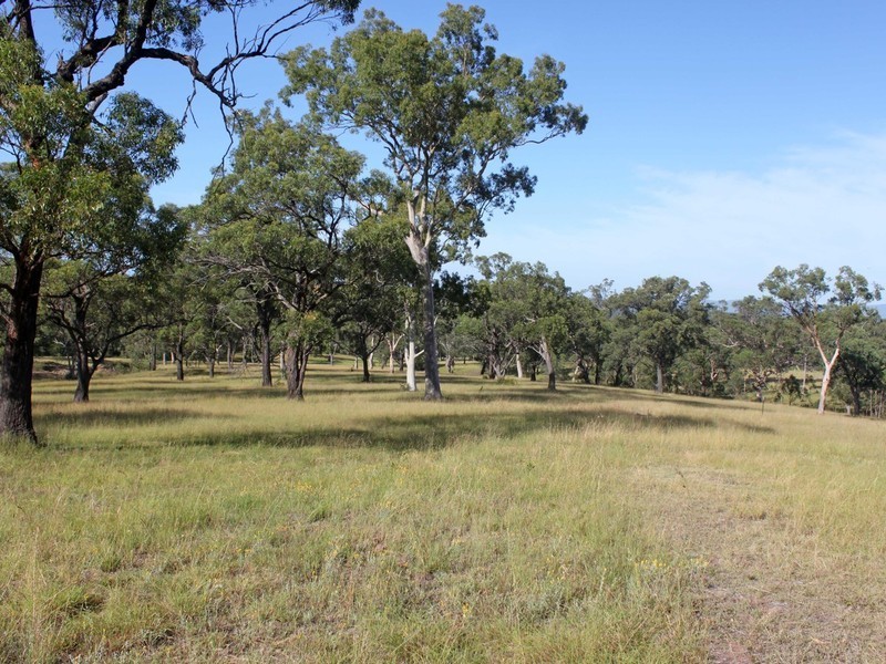 66 Wyndham Street, Greta NSW 2334