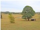 16 Wentworth Close, Branxton NSW 2335