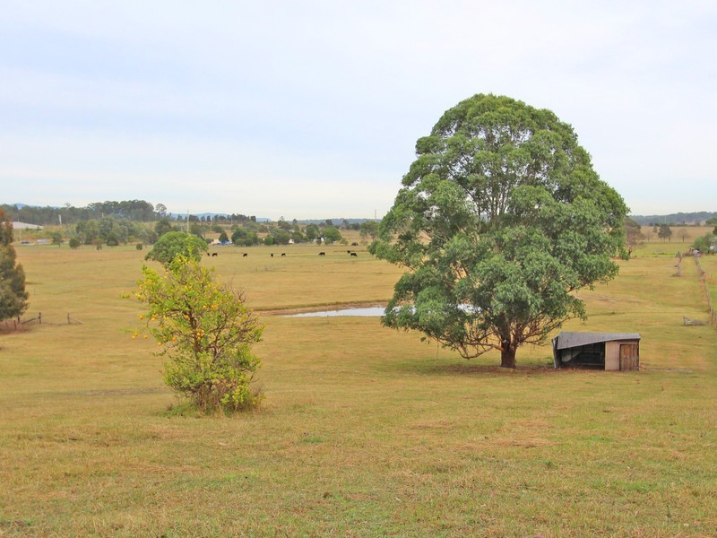 16 Wentworth Close, Branxton NSW 2335