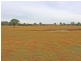 16 Wentworth Close, Branxton NSW 2335