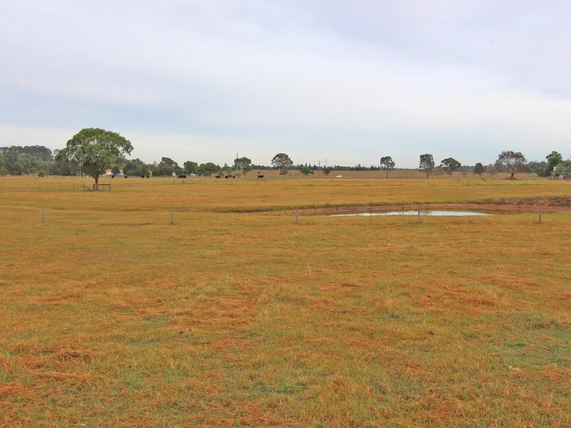16 Wentworth Close, Branxton NSW 2335