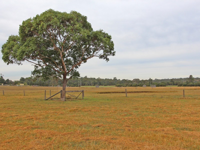 16 Wentworth Close, Branxton NSW 2335