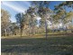 5 Blackburn Close, Pokolbin NSW 2320