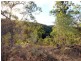 259 Boree Track, Laguna NSW 2325