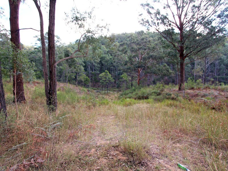 259 Boree Track, Laguna NSW 2325