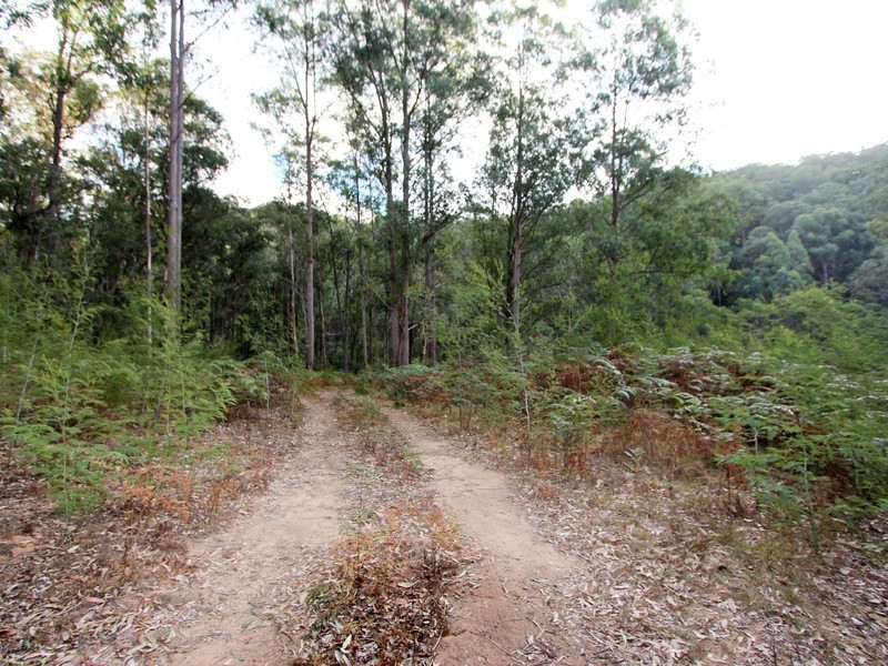 259 Boree Track, Laguna NSW 2325