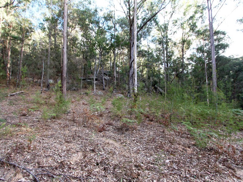 259 Boree Track, Laguna NSW 2325