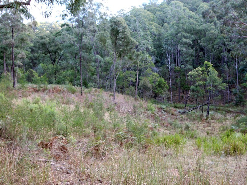 259 Boree Track, Laguna NSW 2325