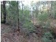 259 Boree Track, Laguna NSW 2325
