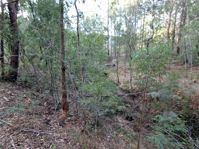 259 Boree Track, Laguna NSW 2325