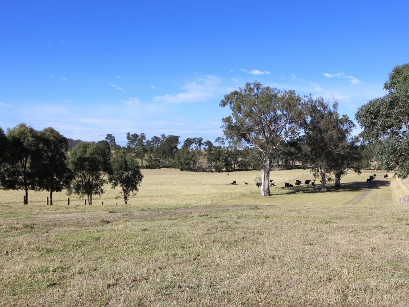 172 Hanleys Creek Road, Dungog NSW 2420