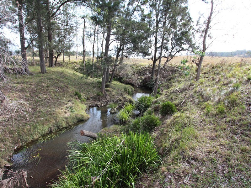 172 Hanleys Creek Road, Dungog NSW 2420
