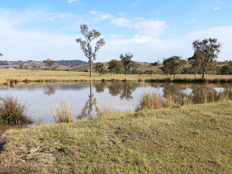 172 Hanleys Creek Road, Dungog NSW 2420