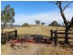 172 Hanleys Creek Road, Dungog NSW 2420