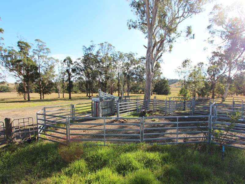 172 Hanleys Creek Road, Dungog NSW 2420