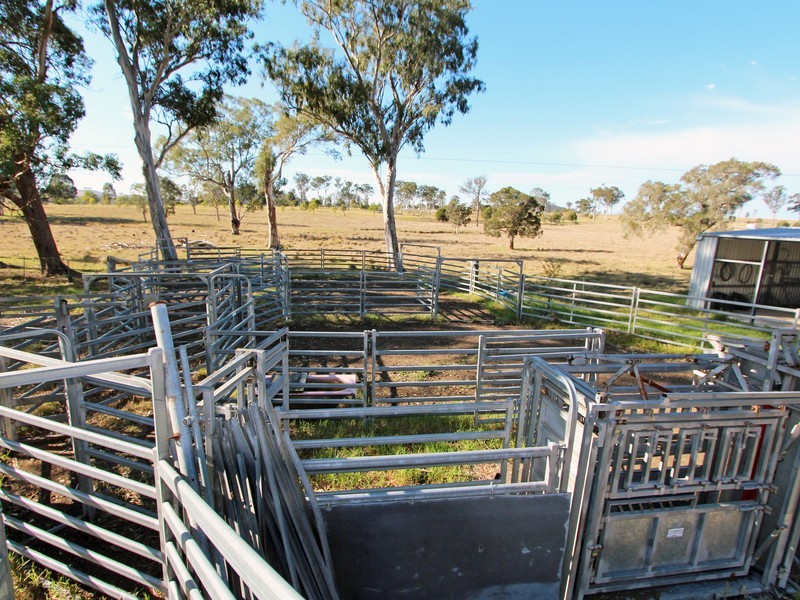 172 Hanleys Creek Road, Dungog NSW 2420