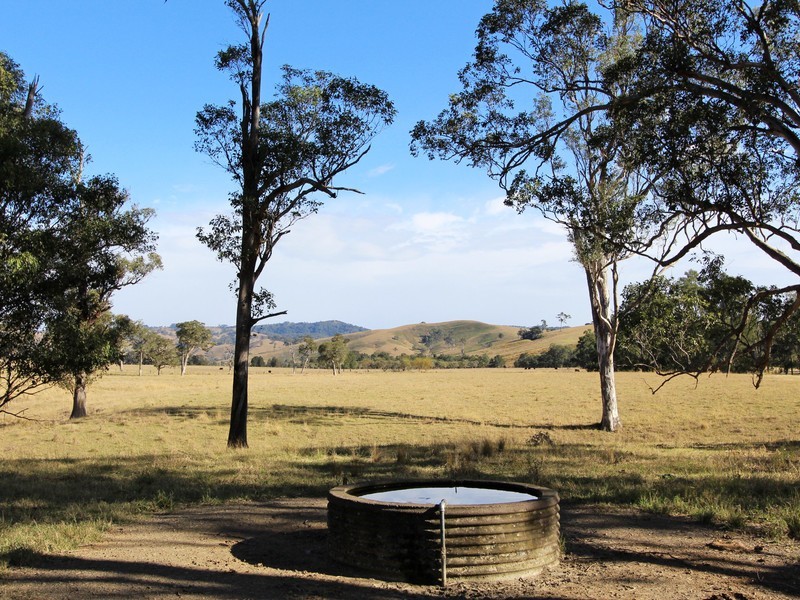 172 Hanleys Creek Road, Dungog NSW 2420