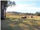 172 Hanleys Creek Road, Dungog NSW 2420