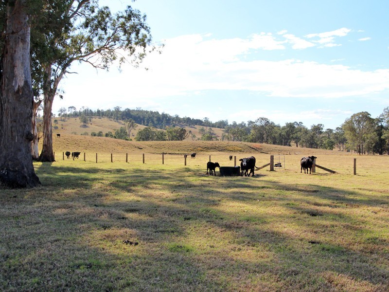 172 Hanleys Creek Road, Dungog NSW 2420
