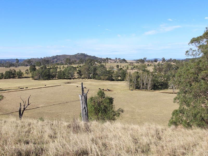 172 Hanleys Creek Road, Dungog NSW 2420