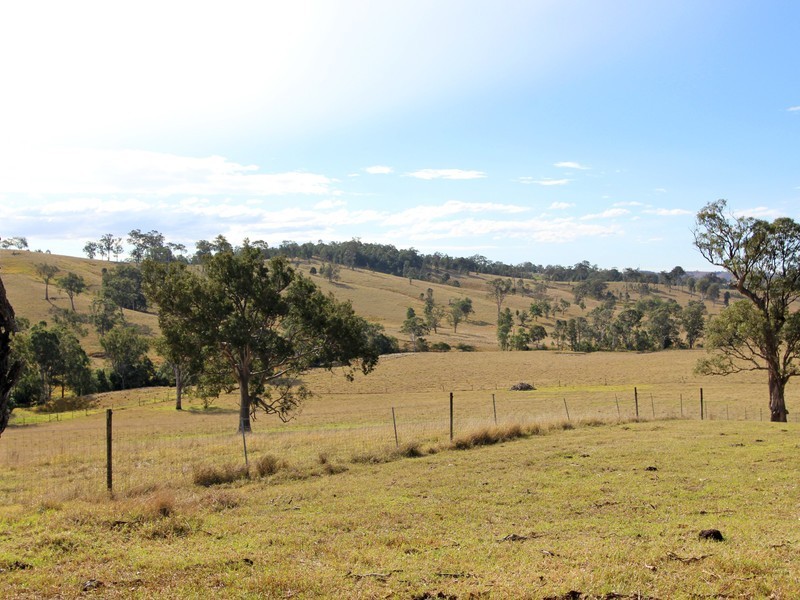 172 Hanleys Creek Road, Dungog NSW 2420