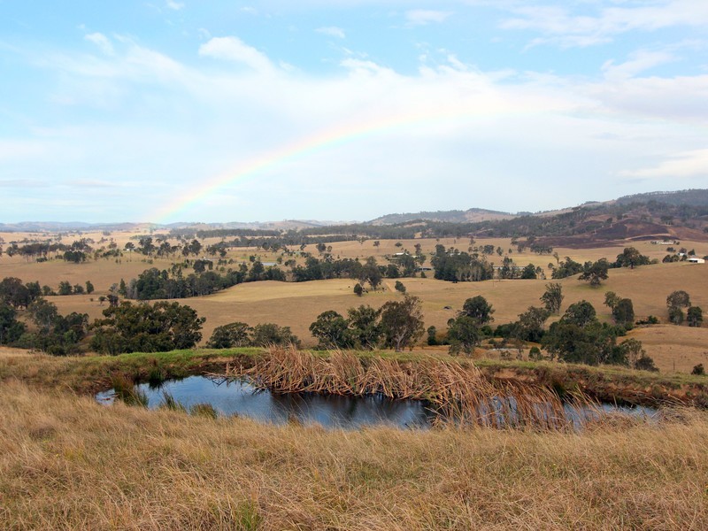 172 Hanleys Creek Road, Dungog NSW 2420