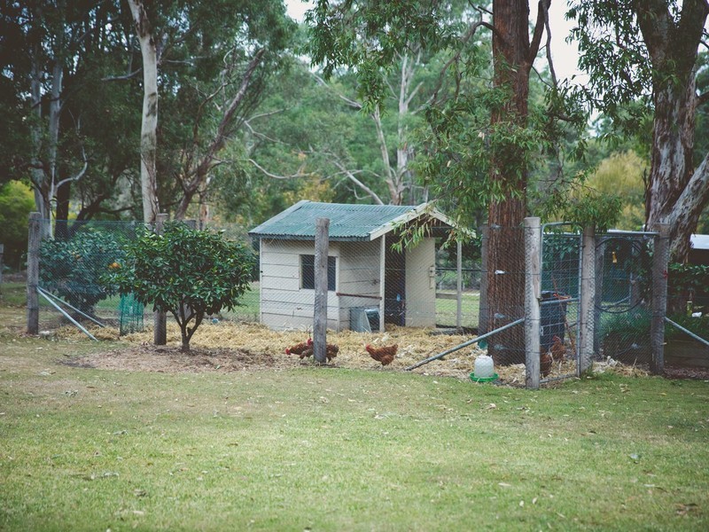 40A Tocal Road, Bolwarra Heights NSW 2320