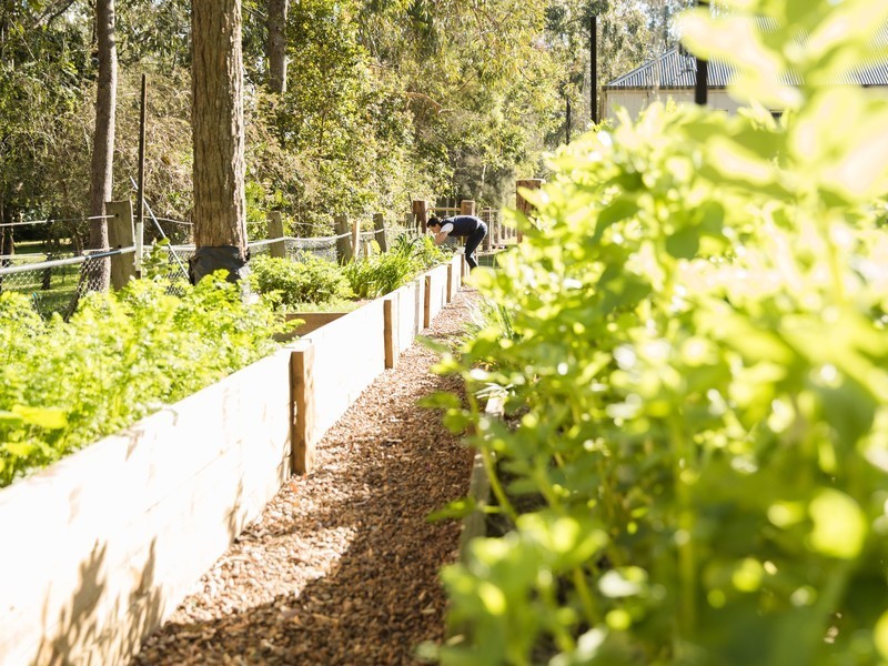 40A Tocal Road, Bolwarra Heights NSW 2320